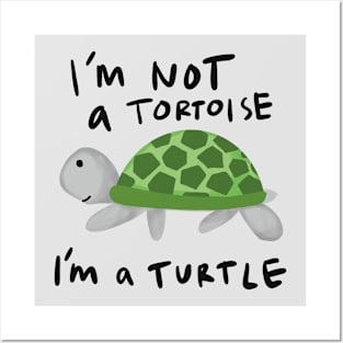 I’m a Turtle Posters and Art